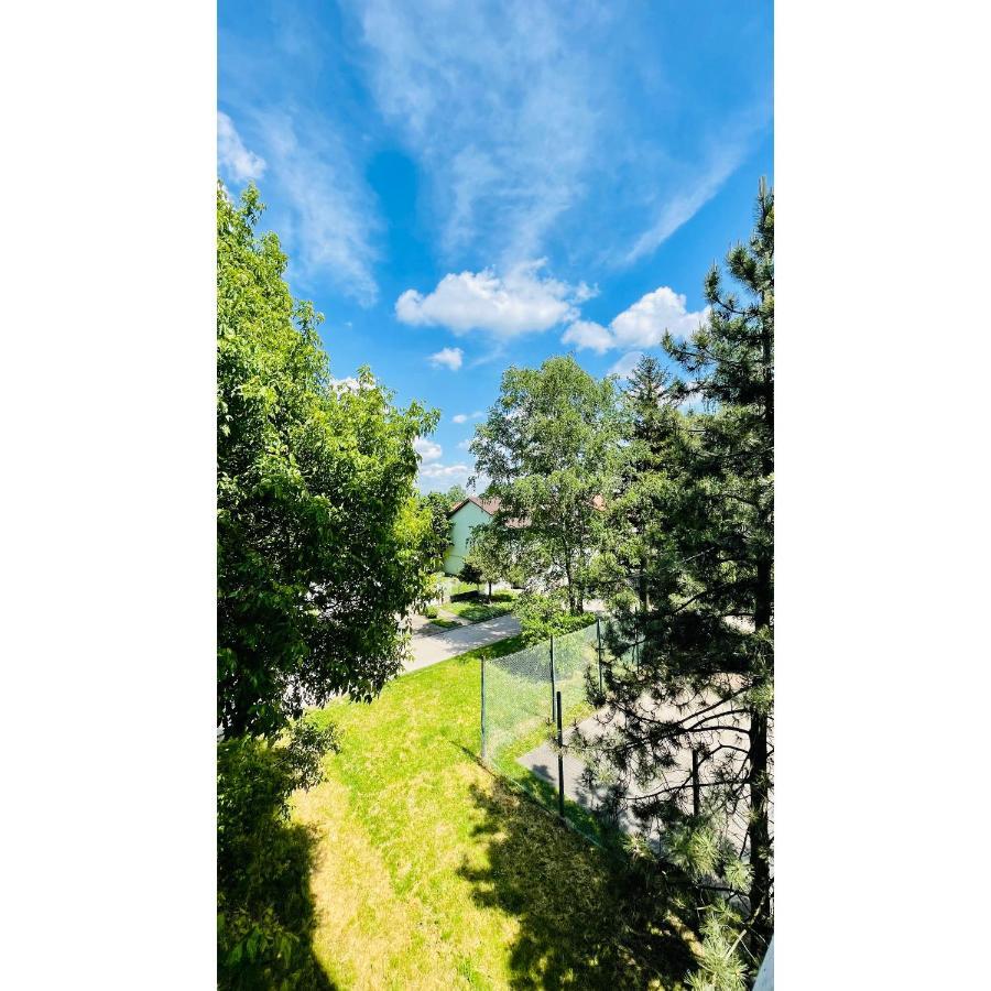 Appartamento Apartman Jelena II Sremska Mitrovica Esterno foto