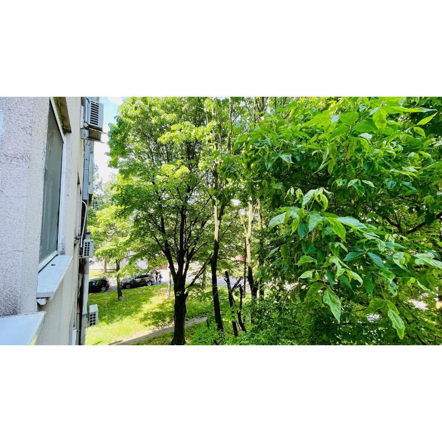 Appartamento Apartman Jelena II Sremska Mitrovica Esterno foto